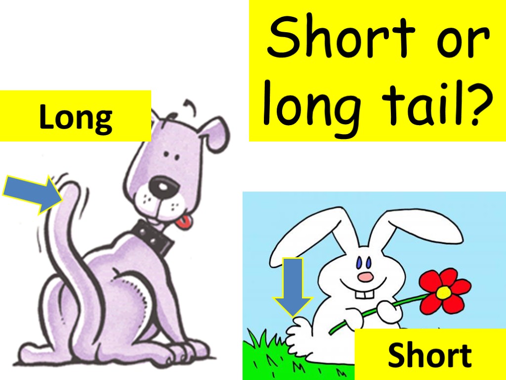 Short or long tail? Short Long